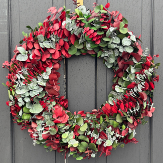 24" Red/Green Dyed Wreath