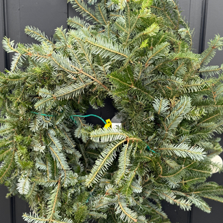 20' Fraser Fir Garland