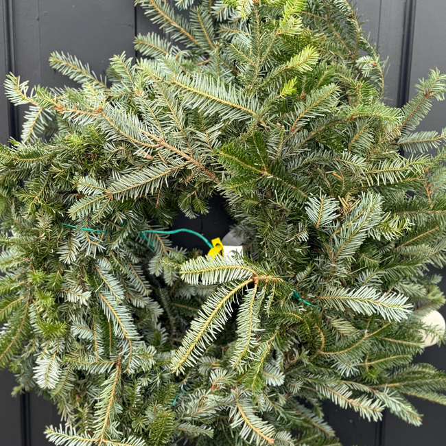20' Fraser Fir Garland