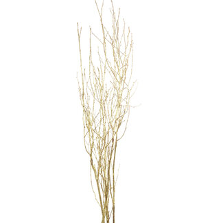 3-4' Gold Glitter Birch Branches