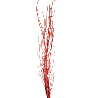3-4' Red Glitter Birch Branches