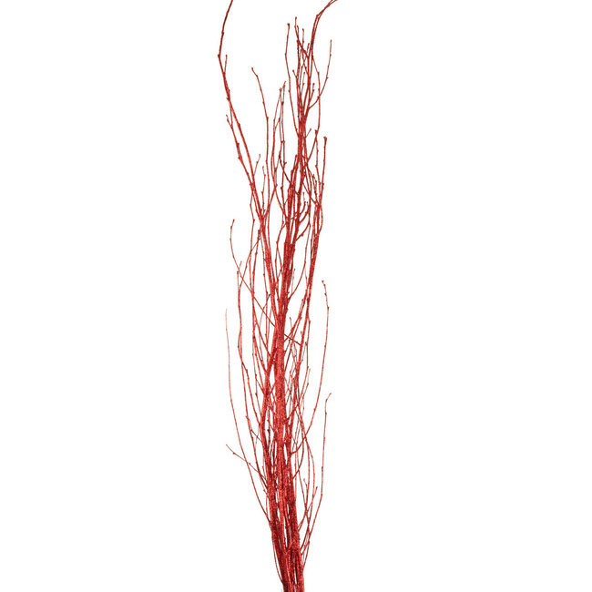 3-4' Red Glitter Birch Branches