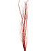 3-4' Red Glitter Birch Branches