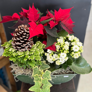 10" Vintage Square Planter