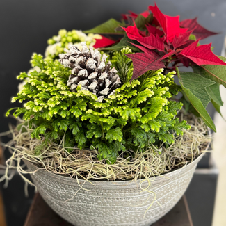 11" Glitz Bowl Planter