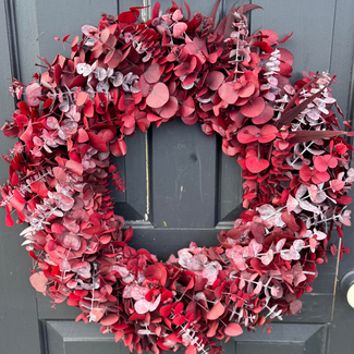 24" Eucalyptus Wreath Dyed Red