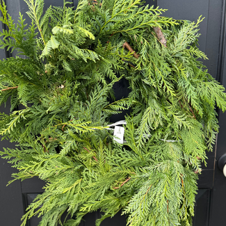 10' BC Cedar Garland