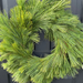 12" White Pine Wreath
