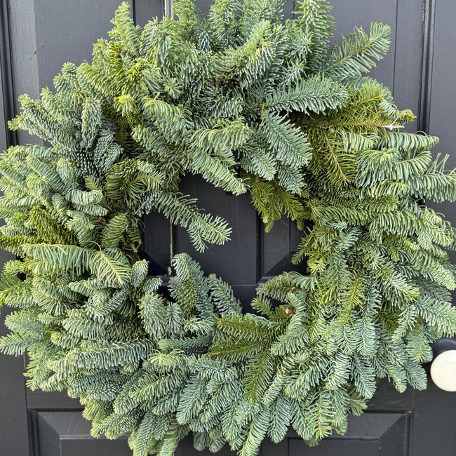Noble Fir Wreath