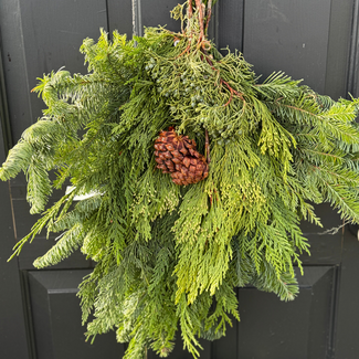 22" Evergreen w/ Cones Swag