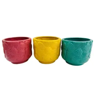 6" Floral Planter Asst