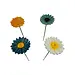 Ceramic Daisy Flower Asst