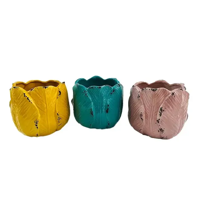 5" Textured Tulip Planter