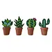 Cactus Suncatcher Asst