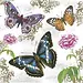 Butterfly Paper Napkins