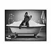 24x16" Frenchie in the Tub Print