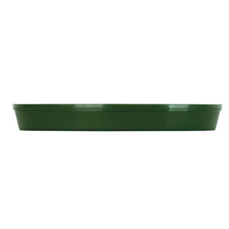 Green Plastic Saucer