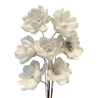 17" Bleached Poppy Flower