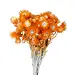 12" Orange Cape Flowers