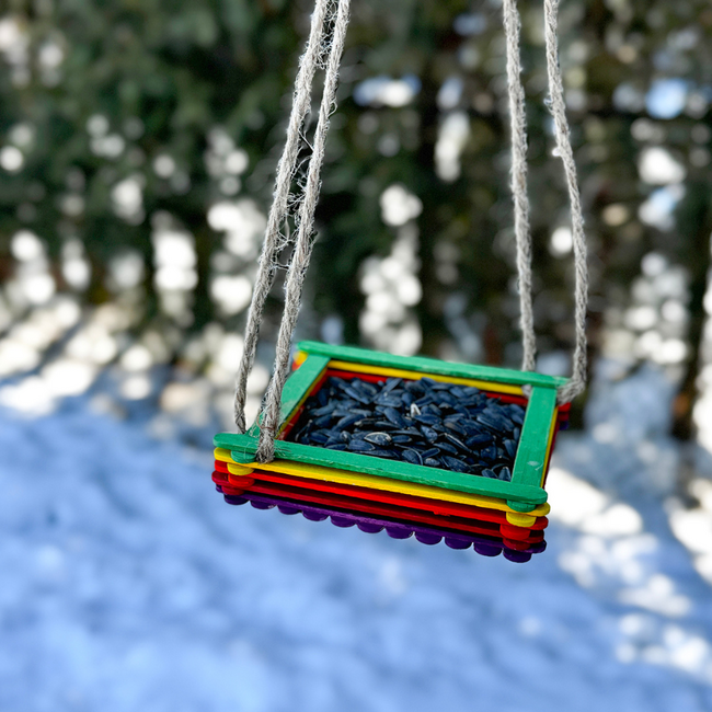 Kids Birdfeeder Workshop