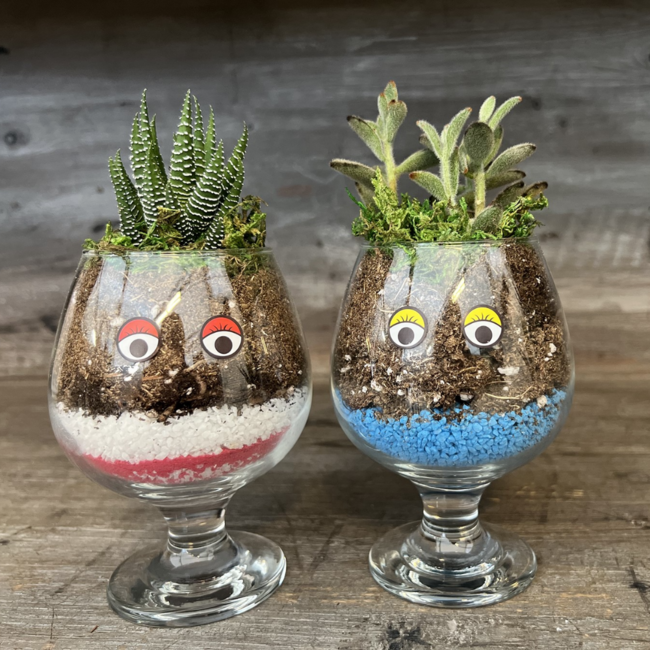Kids Succulent Face Planter Workshop