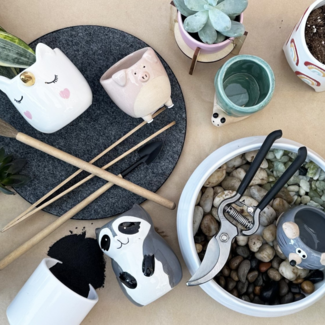 Kids Pick a Pot Succulent Workshop