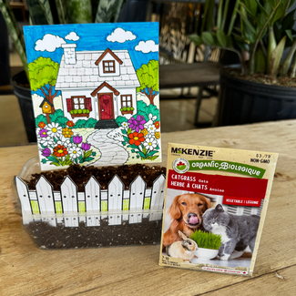 My First Little Lawn Workshop