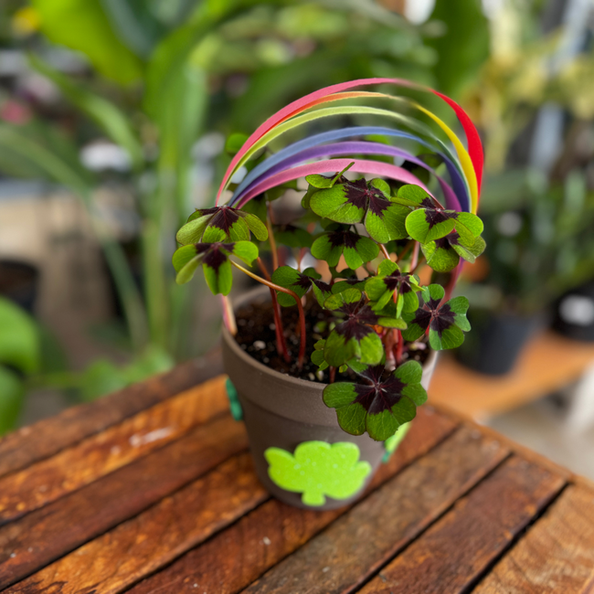 The End Of The Rainbow Kids Workshop