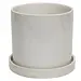 6" White Ceramic Pot w/ Saucer