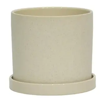 6" Cream Sand Finish Pot w/ Saucer