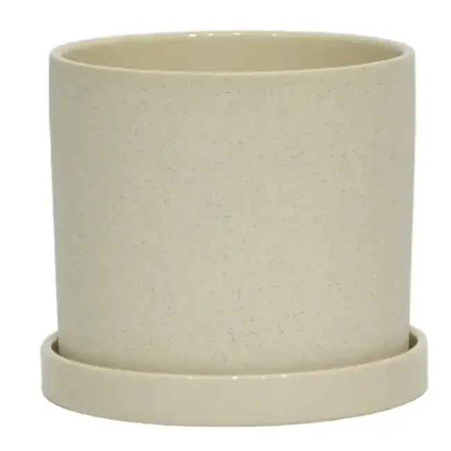 6" Cream Sand Finish Pot w/ Saucer