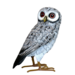 11" Black & White Metal Owl
