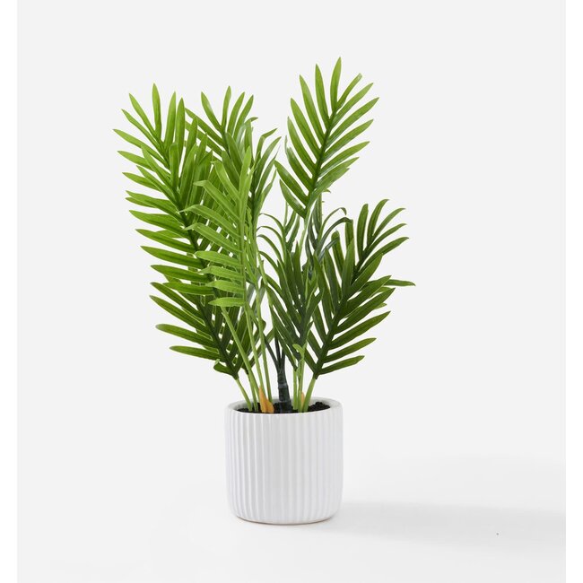 Artificial Palm Plant