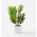 Artificial Palm Plant