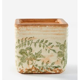 Square Botanical Pot