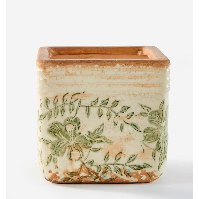 Square Botanical Pot