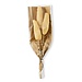 Natural Loofah Stem