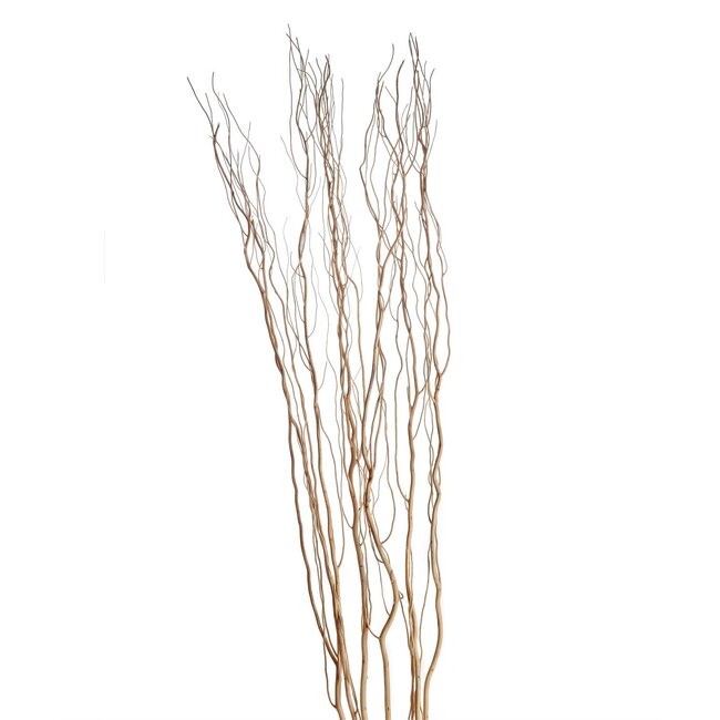 Natural Salix Bundle