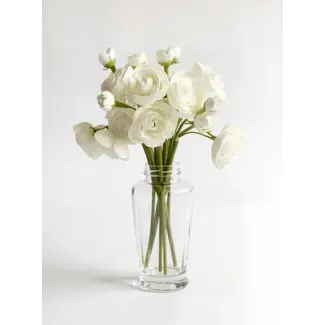 11" White Ranunculus