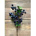 20" Blueberry Pic