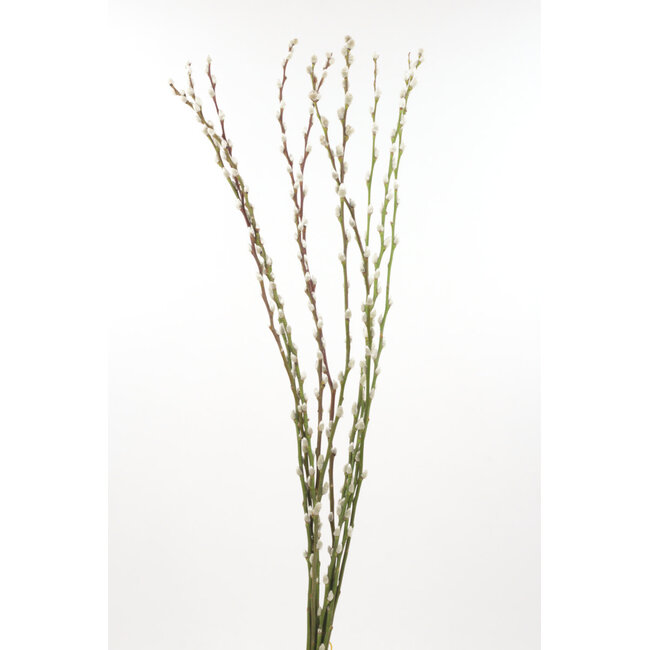 36" Pussy Willow Natural