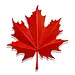 32" Metal Maple Leaf Wall Decor
