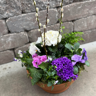 Fresh Spring Bowl Workshop