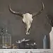 Bull Skull Wall Decor