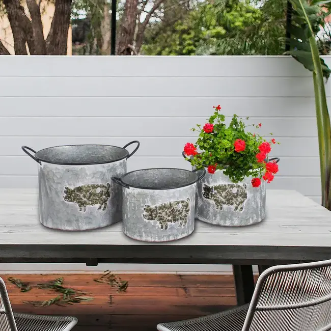 Galvanized Piggy Bucket Planter