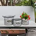 Galvanized Piggy Bucket Planter