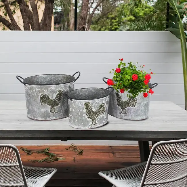 Galvanized Chicken Bucket Planter