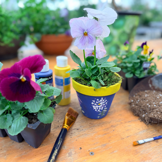 Kids Paint & Plant Workshop