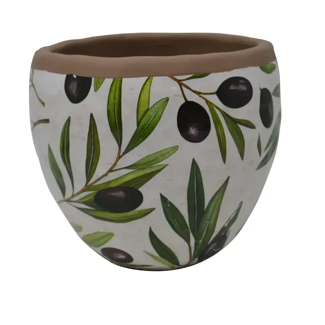6" Olive Pot