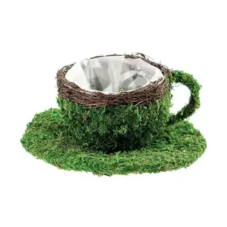 SuperMoss Tea Cup Planter